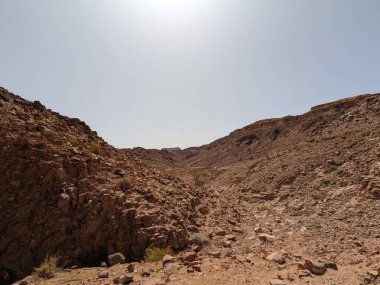 Wadi Rum Desert, Jordan. The red desert and Jabal Al Qattar mountain.Where some famous movies where shot,Star Wars,Lawrence of Arabia.