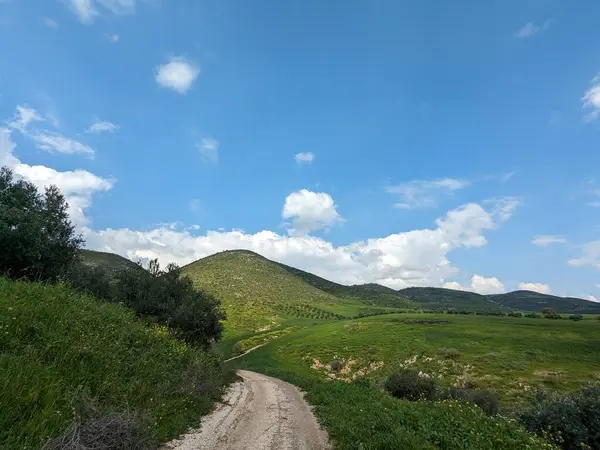 Wadi Zahar, Ürdün 'ün Irbid bölgesinde yer alan bir vadidir. Umm Qais 'den Ürdün yolunda yürümek, dağ manzarası