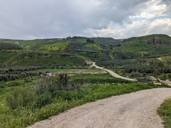 Wadi Zahar, Ürdün 'ün Irbid bölgesinde yer alan bir vadidir. Umm Qais 'den Ürdün yolunda yürümek, dağ manzarası