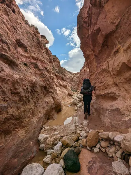 Ürdün Patikası Dana Vadisi 'nden Petra' ya ve Wadi Rum.Wadi Rum Çölü 'ne, Ürdün. Kızıl çöl ve Jabal Al Qattar dağları, Arabistan