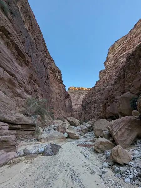 Ürdün Patikası Dana Vadisi 'nden Petra' ya ve Wadi Rum.Wadi Rum Çölü 'ne, Ürdün. Kızıl çöl ve Jabal Al Qattar dağları, Arabistan