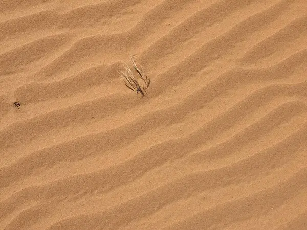 Turuncu renkli kum desenli arka plan. Wadi Rum Çölü, Ürdün, Arabistan manzaralı güzel manzara, çölde kırmızı portakallı kuma yakın çekim