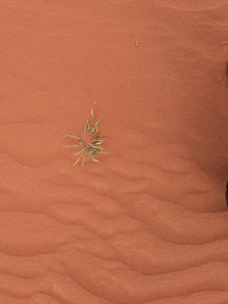 Turuncu renkli kum desenli arka plan. Wadi Rum Çölü, Ürdün, Arabistan manzaralı güzel manzara, çölde kırmızı portakallı kuma yakın çekim