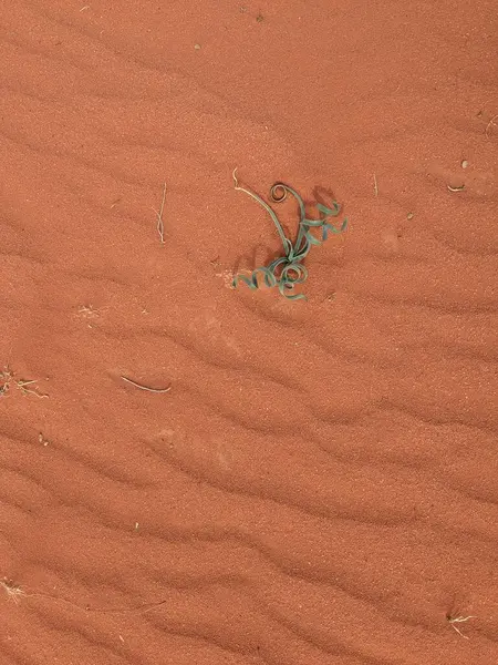 Turuncu renkli kum desenli arka plan. Wadi Rum Çölü, Ürdün, Arabistan manzaralı güzel manzara, çölde kırmızı portakallı kuma yakın çekim