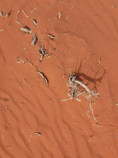 Turuncu renkli kum desenli arka plan. Wadi Rum Çölü, Ürdün, Arabistan manzaralı güzel manzara, çölde kırmızı portakallı kuma yakın çekim