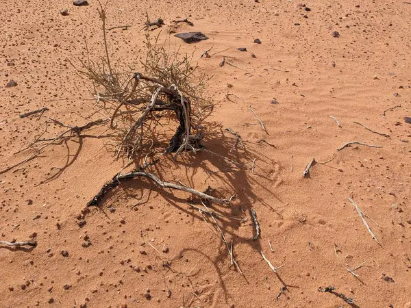 Wadi Rum Desert, Jordan. The red desert and Jabal Al Qattar mountain.Where some famous movies where shot,Star Wars,Lawrence of Arabia.