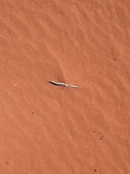 Turuncu renkli kum desenli arka plan. Wadi Rum Çölü, Ürdün, Arabistan manzaralı güzel manzara, çölde kırmızı portakallı kuma yakın çekim