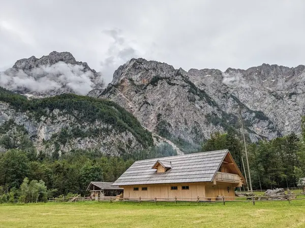 Slovenya 'daki Logar Vadisi' nde manzaralı dağlar, ahşap yerel kulübeler ve geleneksel alp çiftlikleri var..