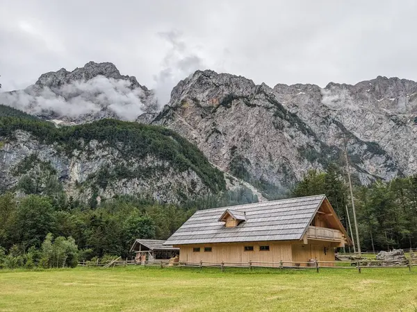 Slovenya 'daki Logar Vadisi' nde manzaralı dağlar, ahşap yerel kulübeler ve geleneksel alp çiftlikleri var..