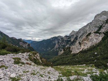 Sloven Alplerinin tepelerinin bulutlarla kaplı olduğu Logarska Dolina Vadisi 'nin panoramik manzarası.