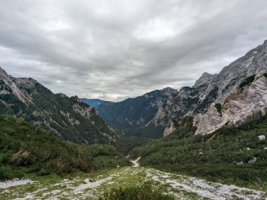Sloven Alplerinin tepelerinin bulutlarla kaplı olduğu Logarska Dolina Vadisi 'nin panoramik manzarası.