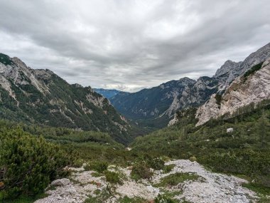 Sloven Alplerinin tepelerinin bulutlarla kaplı olduğu Logarska Dolina Vadisi 'nin panoramik manzarası.