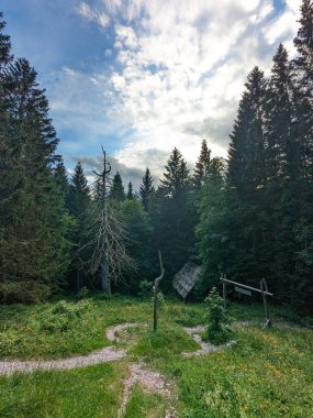 Slovenya 'daki Logar Vadisi' nde manzaralı dağlar, ahşap yerel kulübeler ve geleneksel alp çiftlikleri var..