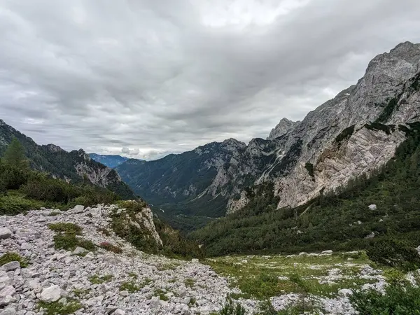 Sloven Alplerinin tepelerinin bulutlarla kaplı olduğu Logarska Dolina Vadisi 'nin panoramik manzarası.