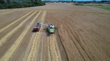 Claas Lexion 550, buğday tarlasında çalışan biçerdöveri birleştirin.