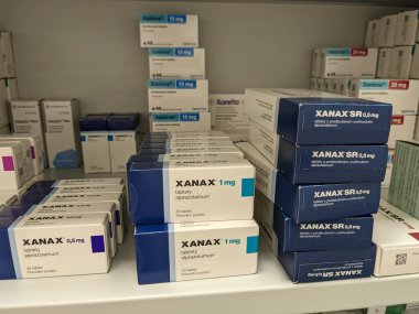 İnşaat şirketi havadan çekilen vinçlerle ahşap evler inşa ediyor.