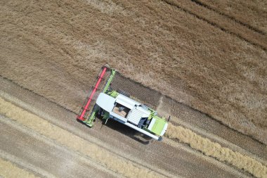 Claas Lexion 550, buğday tarlasında çalışan biçerdöveri birleştirin.