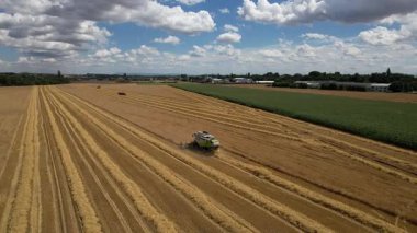 Claas Lexion 550, buğday tarlasında çalışan biçerdöveri birleştirin.