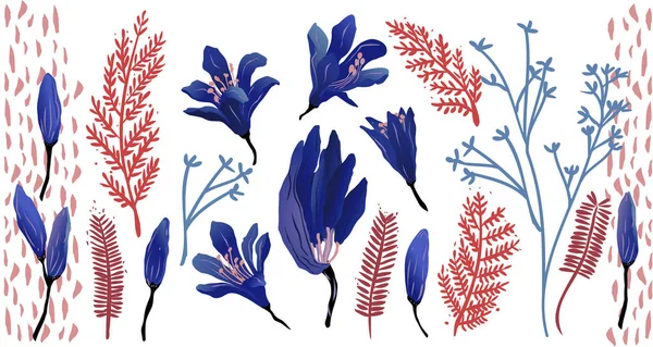 Ensemble Éléments Floraux Ressource Fleurs Bleues Rouges Fleurs Agapanthe Vectorisées — Image vectorielle
