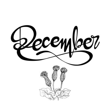 El yazısı ve vektörlü harf işareti 