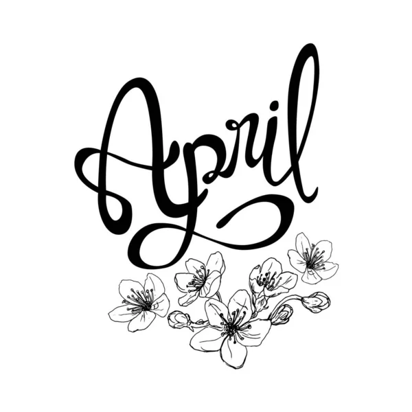 Handgeschreven Gevectoriseerde Letters Teken April Grafische Bron Witte Achtergrond April — Stockvector