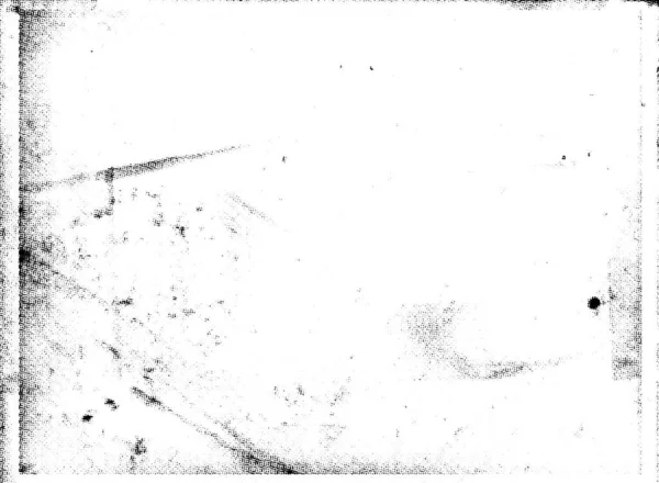 Черно Белый Цвет Половинчатых Вариаций Текстуры Фона Абстрактная Иллюстрация Текстуры — стоковый вектор