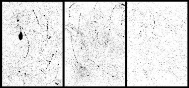 Bir dizi sıçrama dokusu A4 formatı, gerçek el yapımı darbeler, gerçek boya sıçramaları. Siyah renkte vektör vuruşları sprey, sıçrama, damlayan mürekkep