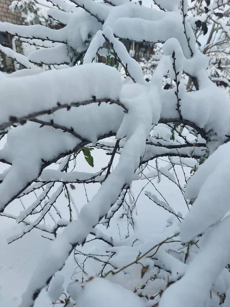 Первый Снег Дорогах — стоковое фото