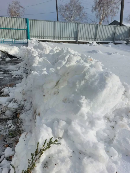 Кучи Первого Снега Дворе — стоковое фото