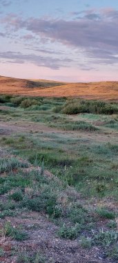 Çimen tarlası ve yolu olan güzel bir manzara. 