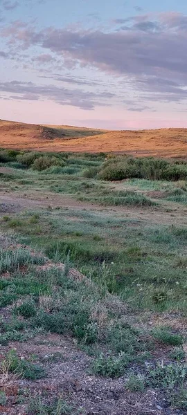 Vackert Landskap Med Gräsfält Och Väg — Stockfoto