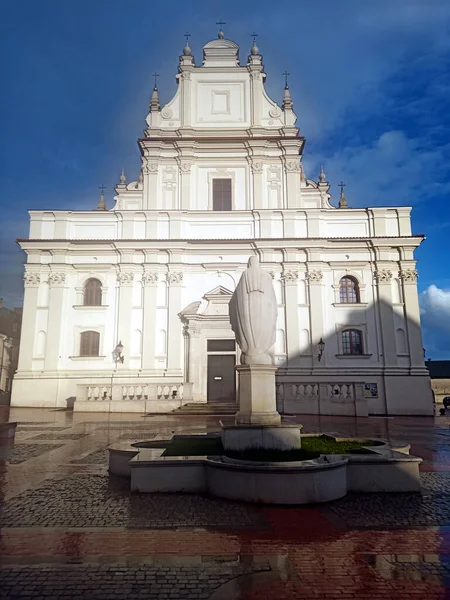 프란치스코 성당은 모스코에 2023 — 스톡 사진