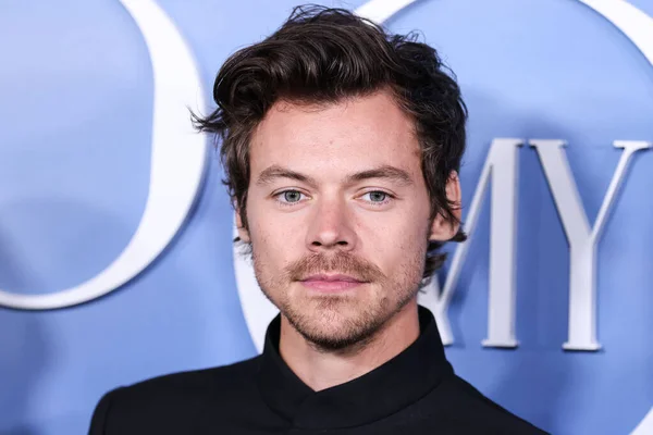 ⬇ Скачать Картинки Harry Styles, Стоковые Фото Harry Styles В.