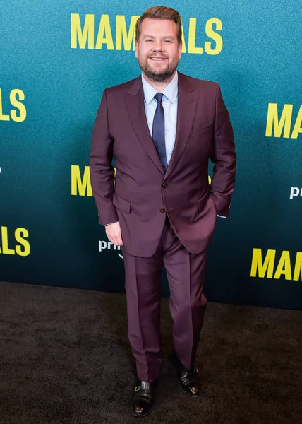 stock image English comedian, actor, singer and television host James Corden arrives at the Los Angeles Premiere Of Amazon Prime Video's 'Mammals' Season 1 held at The West Hollywood EDITION Hotel on November 2, 2022 in West Hollywood, Los Angeles, USA