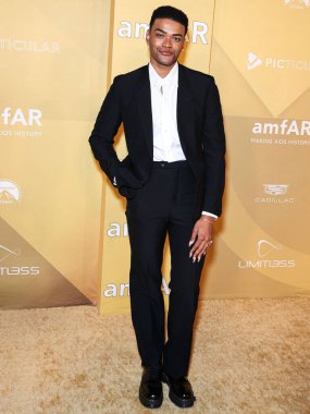 Owen Thiele, 3 Kasım 2022 'de Batı Hollywood, Los Angeles, ABD' deki Pasifik Tasarım Merkezi 'nde düzenlenen 2022 amfAR galasına ulaşır..