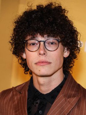 Reece Feldman, Los Angeles 'taki 2022 amfAR galasına 3 Kasım 2022' de Batı Hollywood, Los Angeles, ABD 'deki Pacific Design Center' da ulaştı.. 