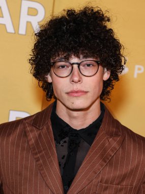 Reece Feldman, Los Angeles 'taki 2022 amfAR galasına 3 Kasım 2022' de Batı Hollywood, Los Angeles, ABD 'deki Pacific Design Center' da ulaştı.. 