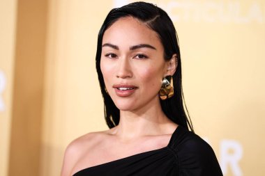 Stephanie Shepherd, 3 Kasım 2022 tarihinde Los Angeles Pasifik Tasarım Merkezi 'nde düzenlenen 2022 amfAR Galası' na ulaşır.. 