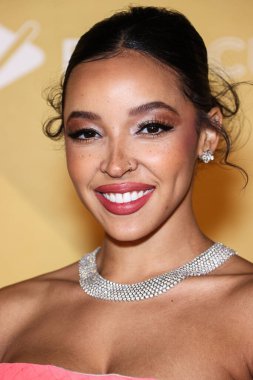 Tinashe, Los Angeles Pasifik Tasarım Merkezi 'nde düzenlenen 2022 amfAR Galası' na 3 Kasım 2022 'de Batı Hollywood, Los Angeles, ABD' de ulaştı.. 