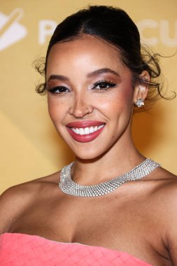Tinashe, Los Angeles Pasifik Tasarım Merkezi 'nde düzenlenen 2022 amfAR Galası' na 3 Kasım 2022 'de Batı Hollywood, Los Angeles, ABD' de ulaştı.. 