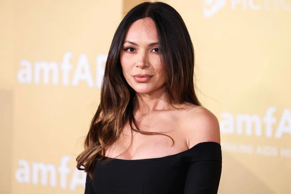 stock image Marianna Hewitt arrives at the 2022 amfAR Gala Los Angeles held at the Pacific Design Center on November 3, 2022 in West Hollywood, Los Angeles, California, United States. 