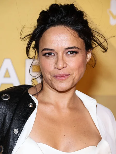 stock image Michelle Rodriguez arrives at the 2022 amfAR Gala Los Angeles held at the Pacific Design Center on November 3, 2022 in West Hollywood, Los Angeles, California, United States. 