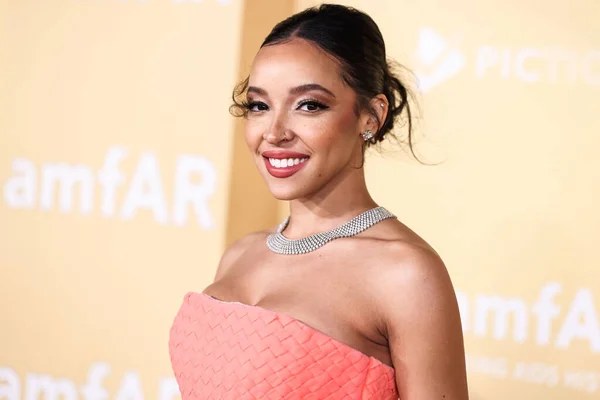 stock image Tinashe arrives at the 2022 amfAR Gala Los Angeles held at the Pacific Design Center on November 3, 2022 in West Hollywood, Los Angeles, California, United States. 