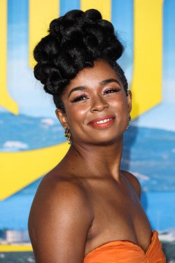 Alexis Floyd, Netflix 'in 