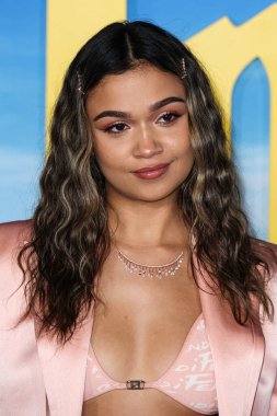 Madison Bailey, Netflix 'in 