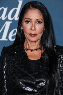 Amerikalı şarkıcı, aktris, eski model ve yetenek menajeri Apollonia Kotero, Netflix 'in 