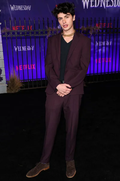 Amerikaanse Acteur Dylan Michael Douglas Arriveert World Premiere Netflix Wednesday — Stockfoto