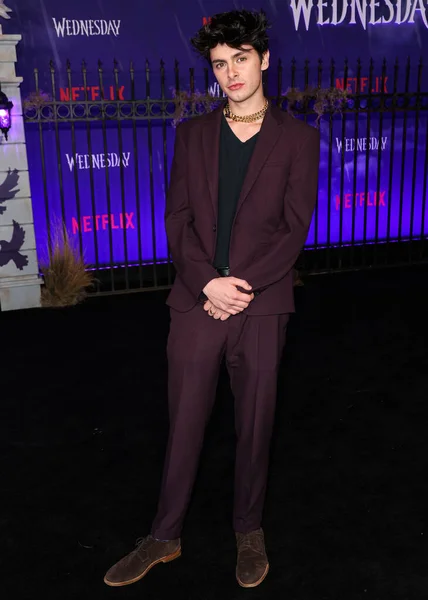 Amerikaanse Acteur Dylan Michael Douglas Arriveert World Premiere Netflix Wednesday — Stockfoto