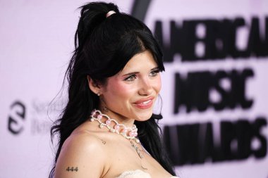 Nessa Barrett, 20 Kasım 2022 'de Los Angeles, Kaliforniya' da Microsoft Theater 'da düzenlenen 2022 Amerikan Müzik Ödülleri' ne (50..