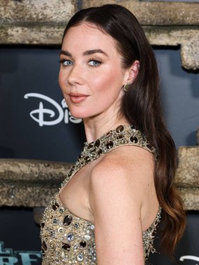 Lyndon Smith arrives at the Disney+ Original Series 'National Treasure: Edge Of History' Season 1 Red Carpet Event held at the El Capitan Theatre on December 5, 2022 in Hollywood, Los Angeles, California, United States. clipart